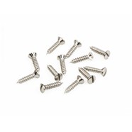 American Vintage '52 Telecaster® Pickguard-Control Plate Screws - 