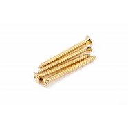 Neck Mounting Screws (4) - Gold