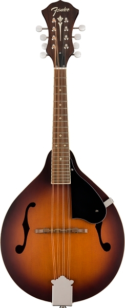 PM-180E Mandolin - 