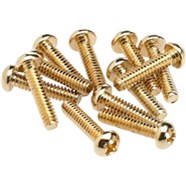 Pickup and Selector Switch Mounting Screws (12) - Gold