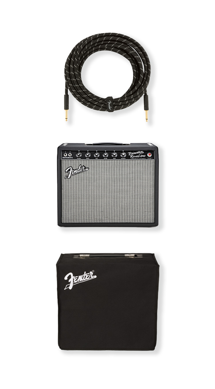 65 Princeton Reverb Bundle